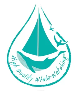 High Quality Whale Watching® - CIMA Research Foundation