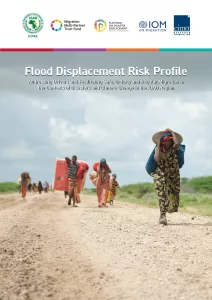 IGAD REPORT DISPLACEMENT