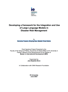 Cover report LLM in DDR